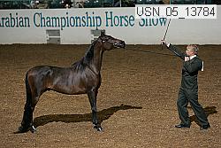 usn_05_13784 proof