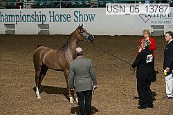 usn_05_13787 proof
