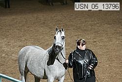 usn_05_13796 proof
