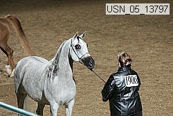 usn_05_13797 proof