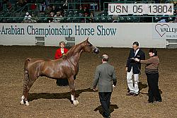 usn_05_13804 proof