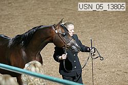 usn_05_13805 proof