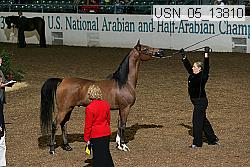 usn_05_13810 proof