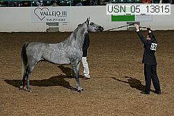 usn_05_13815 proof