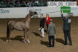 usn_05_13831 proof