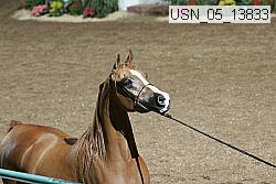 usn_05_13833 proof