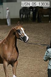 usn_05_13836 proof