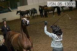 usn_05_13838 proof