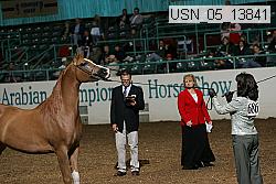 usn_05_13841 proof