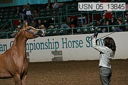 usn_05_13845 proof