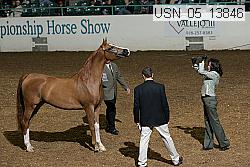 usn_05_13846 proof