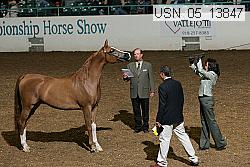 usn_05_13847 proof