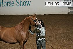 usn_05_13848 proof