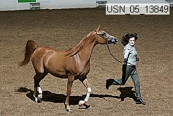 usn_05_13849 proof