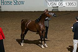 usn_05_13853 proof