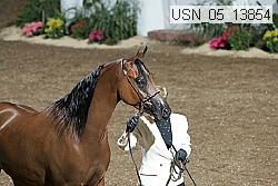 usn_05_13854 proof
