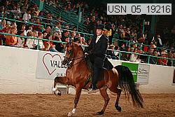 usn_05_19216 proof