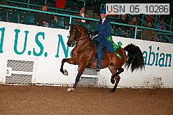 usn_05_10286 proof