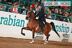 usn_05_16260 proof