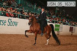 usn_05_16313 proof