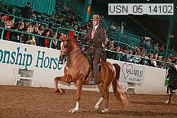 usn_05_14102 proof