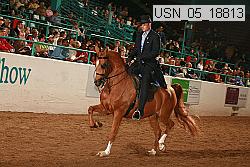 usn_05_18813 proof