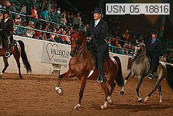 usn_05_18816 proof