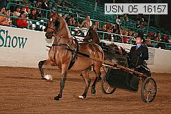 usn_05_16157 proof