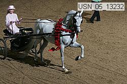 usn_05_13232 proof