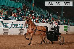 usn_05_13561 proof