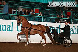 usn_05_13089 proof