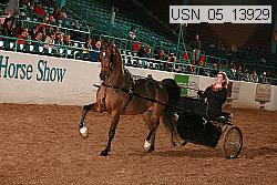 usn_05_13929 proof