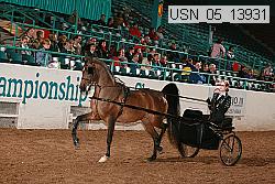 usn_05_13931 proof