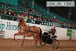 usn_05_13952 proof