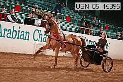 usn_05_15895 proof