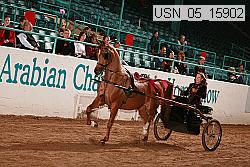 usn_05_15902 proof