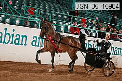 usn_05_15904 proof