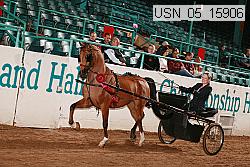 usn_05_15906 proof