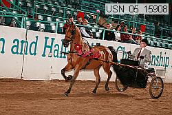usn_05_15908 proof