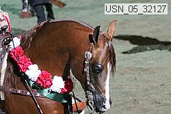 usn_05_32127 proof