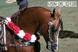 usn_05_32128 proof