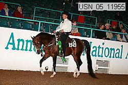 usn_05_11955 proof