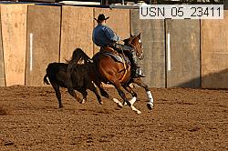 usn_05_23411 proof
