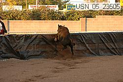 usn_05_23505 proof