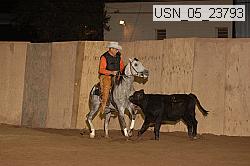 usn_05_23793 proof