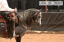 usn_05_25091 proof
