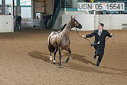 usn_05_15541 proof