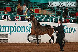 usn_05_15544 proof