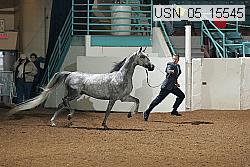 usn_05_15545 proof