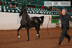 usn_05_15550 proof